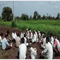 People sitting in a field meeting